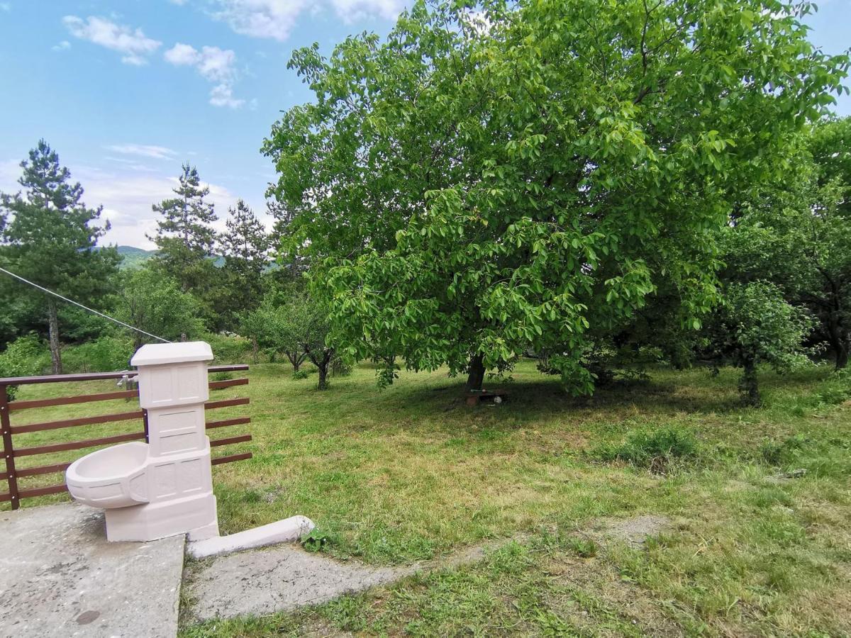 Borsko Jezero Villa ภายนอก รูปภาพ