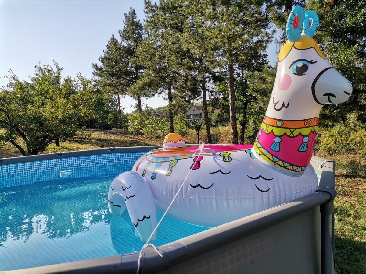 Borsko Jezero Villa ภายนอก รูปภาพ