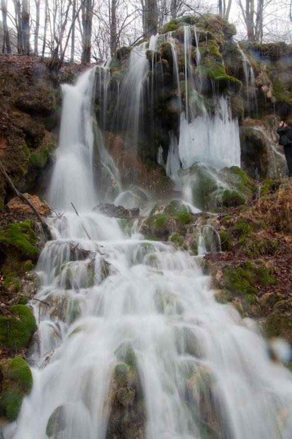 Borsko Jezero Villa ภายนอก รูปภาพ