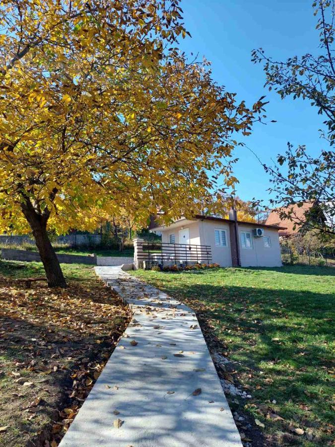 Borsko Jezero Villa ภายนอก รูปภาพ
